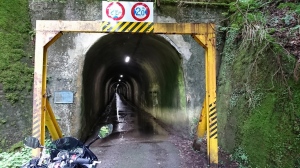 nyu_tunnel_20190706